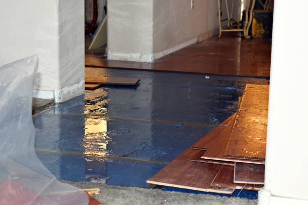 Professional Basement Water Removal technician working in Whitehall, OH